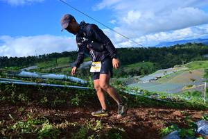 BIB: 
                            <button type="button" onclick="openModal(13381489)" class="btn btn-primary btn-sm float-right btn-popup" data-toggle="modal" data-target=".modal-high-quality">
                        <i class="fas fa-shopping-cart"></i> Add to Cart
                    </button>
                                            <button type="button" onclick="isThisMe(13381489, true)" class="btn btn-success btn-sm float-right btn-popup btn-isme hidden" data-toggle="tooltip" data-placement="bottom" title="นี่คือรูปของคุณใช่ไหม คลิกที่นี่เพื่อเอาเข้าอัลบั้ม">
                        <i class="fas fa-plus"></i> Add to album
                    </button>
                    <button type="button" onclick="isThisMe(13381489, false)" class="btn btn-warning btn-sm float-right btn-popup btn-isnotme hidden">
                        <i class="fas fa-ban"></i> Remove from album
                    </button>